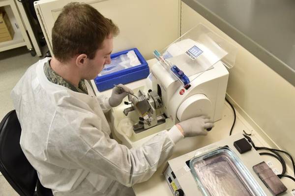 Histotechnologist 1