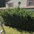 LANDSCAPING,MOVING HELP,JUNK REMOVAL SERVICES 8 thumbnail