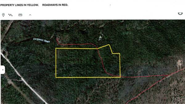 $81,500 18+ acres adjacent to State Forest & River--competitive land contract (Millersburg/Ocqueoc)64037724364801121