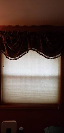 Pleated Shades 1
