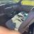 1990 mustang 2 thumbnail
