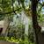 Villa in White Meadows 7 thumbnail