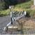1979 Fiberglass Motorboat For Sale - Toni 13 thumbnail
