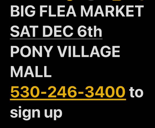 FLEA MARKET DEC 6th at PONY VILLAGE MALL 1
