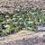 Residentially Zoned 10-Acre Hilltop Lot in Beautiful Agoura Hills 1 thumbnail