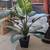 (3) Home Decor Faux Plants 3 thumbnail
