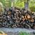 Firewood Delivered & Stacked OR PICKUP for Dripping Springs, DRIP 11 thumbnail