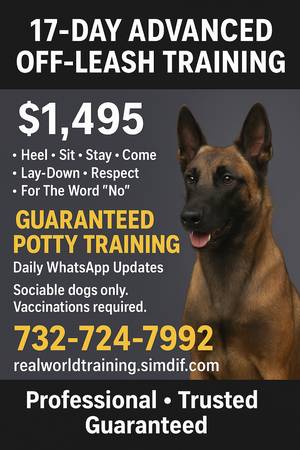 🎯 Professional Dog Training – 17-Day Program $1,495 (Annapolis, MD)👀 1