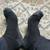 Socks! 1 thumbnail
