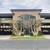 Beautiful Studio  Apartment/walk-in closet/available to show. 1 thumbnail
