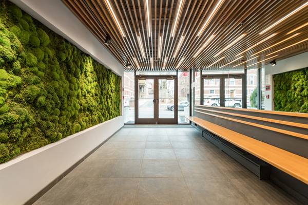 $2,895 Mid Cambridge Studio/1 Bath Apartment | Harvard St (Mid Cambridge)64213550252419121