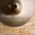 PROFESSIONAL AVEDIS ZILDJIAN CYMBALS 4 thumbnail