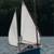 Cat Bird - Sailboat by Karl Stambaugh 6 thumbnail