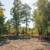 Explore 7.23± Total Acres-2 Buildable Parcels-Mix of Woods & Land Bid! 4 thumbnail