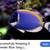 Fish Tank 240 Gallons (Re-homing) 10 thumbnail