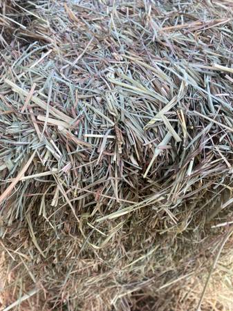 Beautiful square bale hay - second cut 1