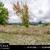 Prime 0.22 acre corner lot property zoned CR. 8 thumbnail