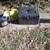 Chain Saw Husqvarna + Case etc. 2 thumbnail