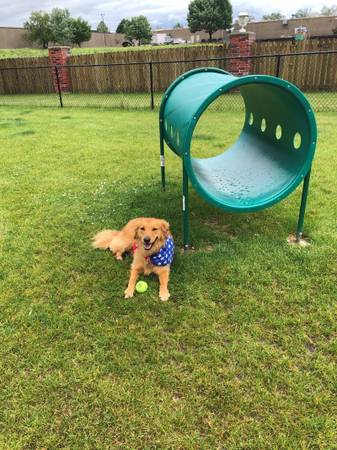 $945 / 2br - 764ft2 - ⭐Pet Friendly Two Bedroom Available!  Call Now!⭐ (4419 1st Ave SW, Cedar Rapids, IA)63942847297410120
