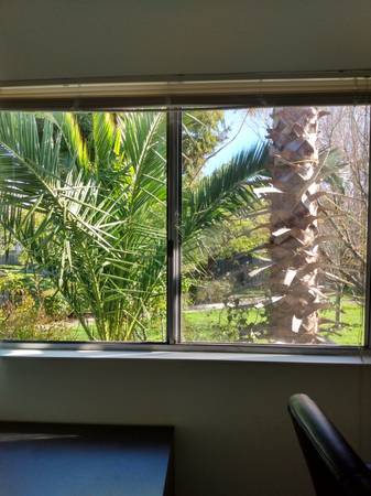 $1,300 / 1br - GREAT Furnished Room! ALL Utilities FREE. Easy Location (foster city)64208996354563121