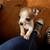 Rehoming puppies. Small fee 4 thumbnail