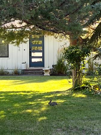 $3,200 / 3br - 1400ft2 - Moderno de mediados de siglo / Todos los servicios incluidos, amueblado 3 habitaciones/2 baños (Bend)63839289591555121