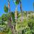 Tree service, Landscaping , Gardening ,Irrigation 5 thumbnail