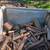 Free Firewood 1/4 Cord 1 thumbnail