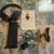 TV wireless headphones - sharper image 4 thumbnail