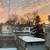 Furnished BR – Spadina/College M5S 2K9 – All-included – Sept 13 6 thumbnail