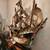 Estate Sale! Everything Must Go!! Sat 9/6 - Jefferson Valley 14 thumbnail