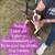 dogs looking for good homes 3 thumbnail