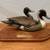 Big Sky Carvers / Canine / Sandicast Home Decor at Creative Bargains 2 thumbnail