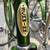 Vintage Schwinn Suburban Bikes – Campus Green – $120 for the Pair 4 thumbnail