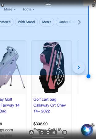Ladies Callaway golf cart bay 1
