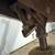 Antique Solid Oak Office/Banker's chair 3 thumbnail