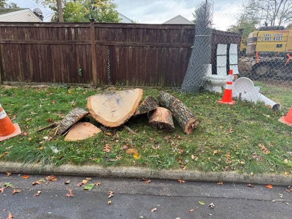 Firepit? — Free Firewood 1