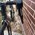 Felt FX1 Cyclocross/Gravel Bike 60cm 7 thumbnail