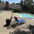 Newly remodeled 2 br, heat and pool included 14 thumbnail