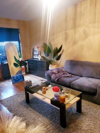$2,700 / 1br - Sublet!! 2-3 months (Forest hills)64033460351362122