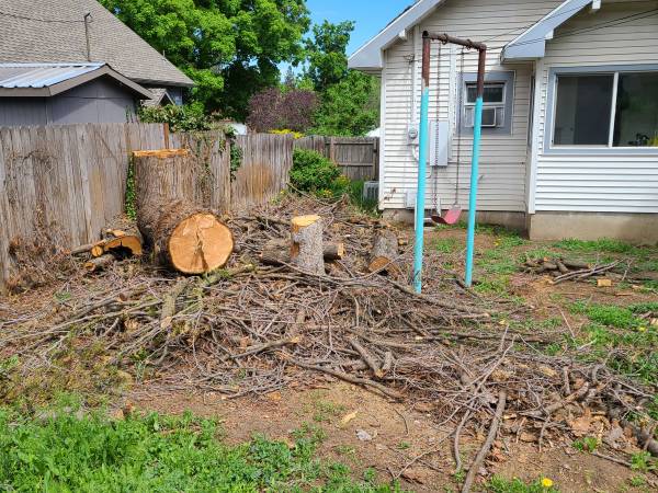 Fire Debris Removal 1