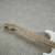 Fender Strat Left-Handed Guitar White 3 thumbnail