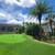 Project update.  Retaining wall/ irrigation/ sod./ landscape design 12 thumbnail