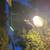 White Outdoor String Lights 6 thumbnail
