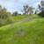 Little Uvas Road 21 acres, owner financing, water and five nice pads! 24 thumbnail