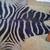 Zebra all leather rug 1 thumbnail