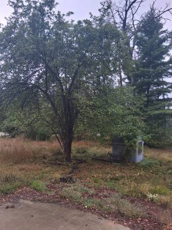 $25,000 Large Double lot with Utilities (Alger, MI)64037723674243121