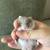 1 Month-Old Syrian Hamsters (Teddy Bear) 🐹 - $30 (La Jolla) 20 thumbnail