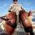 HAMACHI XOS GT'n'Doggie 5'6 PE 3-8/ 30-80lb cast fishing rod Penn reel 14 thumbnail