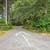 Secluded 5 Acres Overlooking Abernathy Creek 2 thumbnail